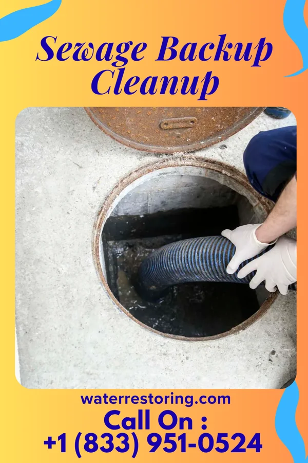 Sewage Backup Cleanup in Taos, MO